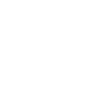 Фотография Вектор Плюс 5