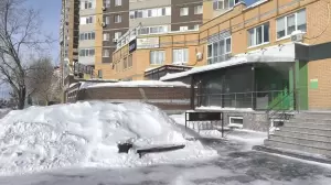 Фотография Романовы и партнеры 1