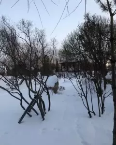 Фотография Центр бухгалтерского обслуживания 2