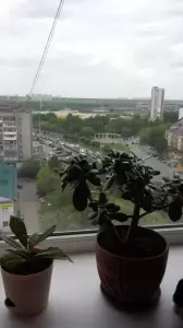 Фотография Главбуха-нет 4